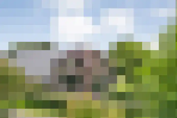 Vettewinkelweg 2 Wijhe thumbnail 6