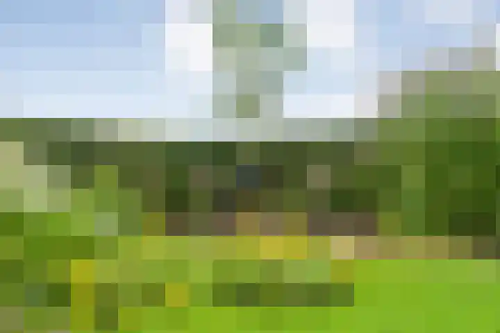 Vettewinkelweg 2 Wijhe thumbnail 60