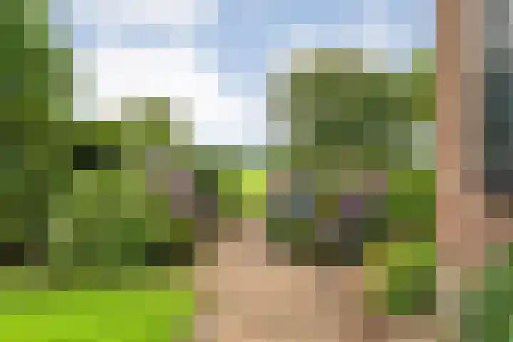 Vettewinkelweg 2 Wijhe thumbnail 61