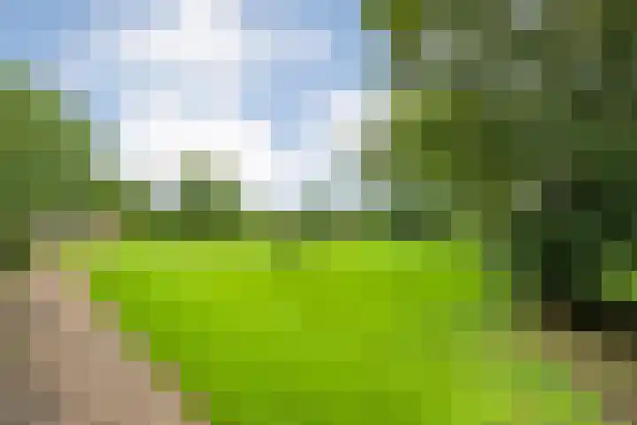 Vettewinkelweg 2 Wijhe thumbnail 62