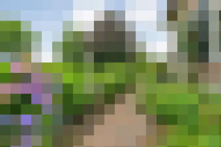 Vettewinkelweg 2 Wijhe thumbnail 63