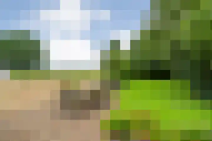 Vettewinkelweg 2 Wijhe thumbnail 64