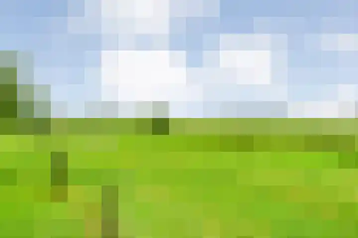 Vettewinkelweg 2 Wijhe thumbnail 65