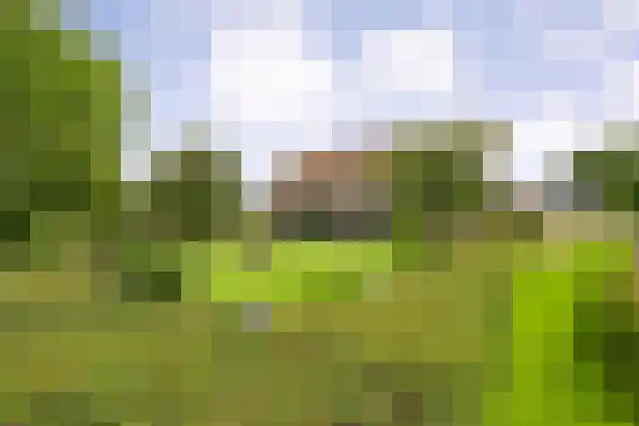Vettewinkelweg 2 Wijhe thumbnail 66