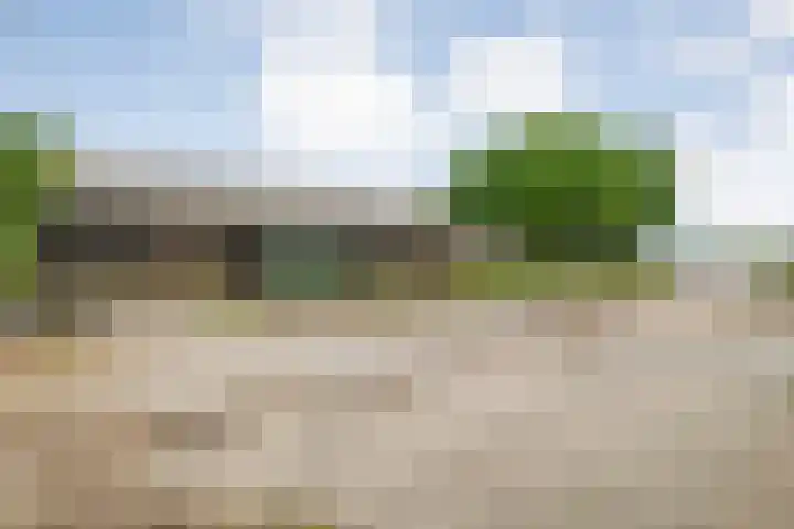 Vettewinkelweg 2 Wijhe thumbnail 67