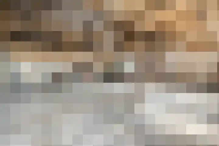 Vettewinkelweg 2 Wijhe thumbnail 69