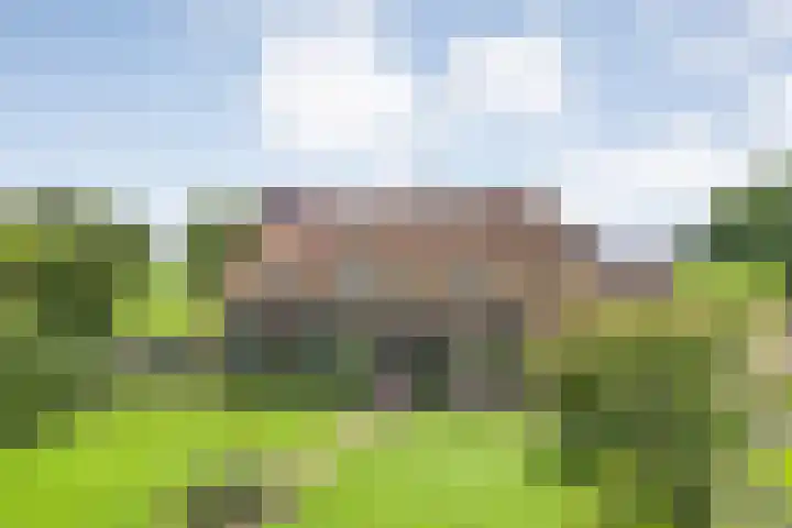 Vettewinkelweg 2 Wijhe thumbnail 7
