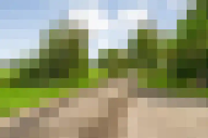 Vettewinkelweg 2 Wijhe thumbnail 71