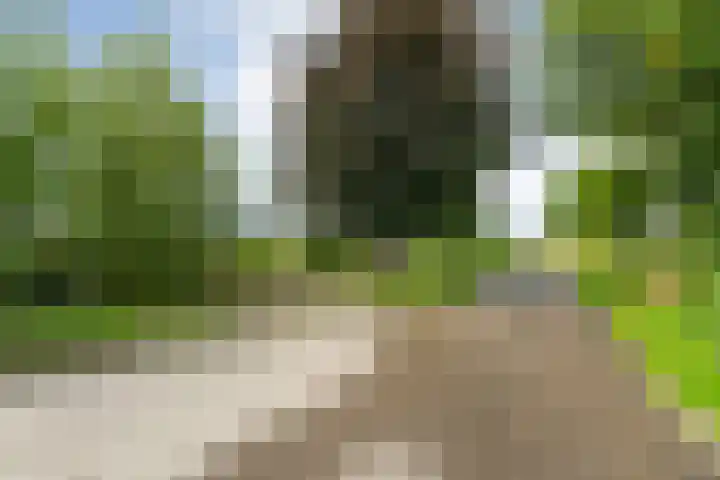 Vettewinkelweg 2 Wijhe thumbnail 72