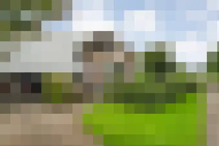 Vettewinkelweg 2 Wijhe thumbnail 73