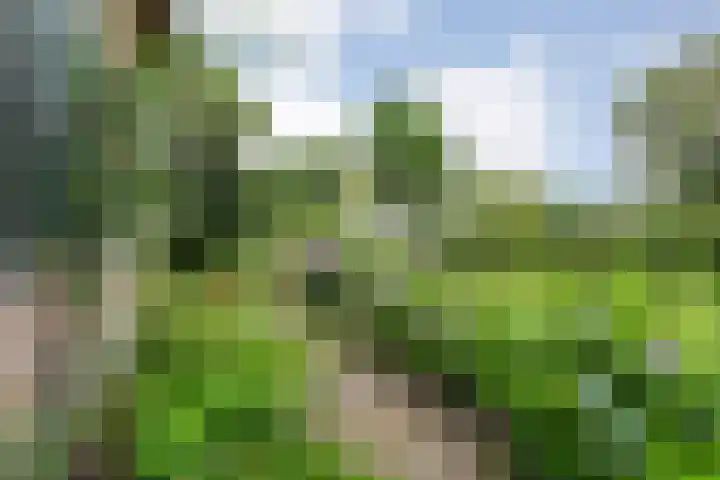 Vettewinkelweg 2 Wijhe thumbnail 74