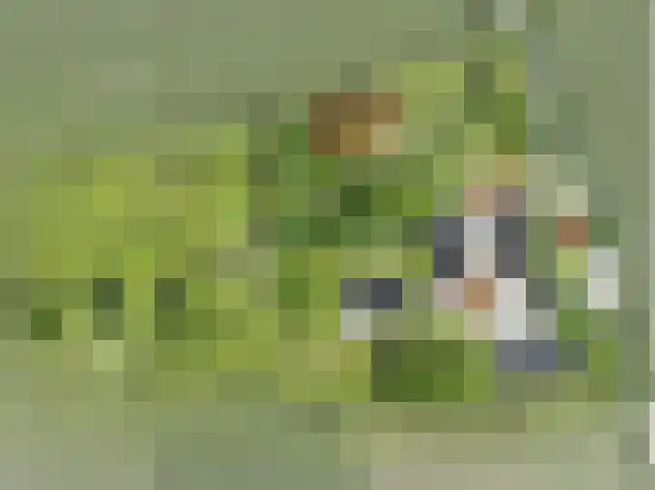 Vettewinkelweg 2 Wijhe thumbnail 75