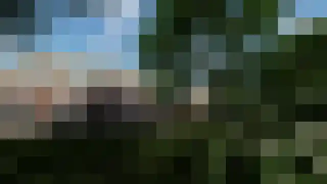 Vettewinkelweg 2 Wijhe thumbnail 76