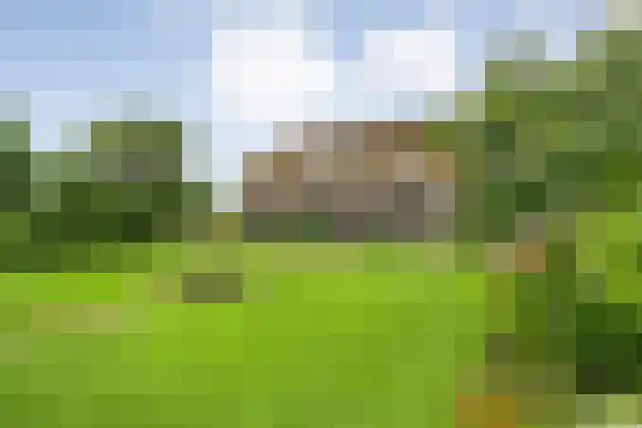 Vettewinkelweg 2 Wijhe thumbnail 8