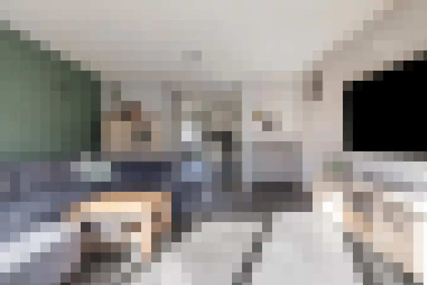 Vetwei 12 Velp thumbnail 12