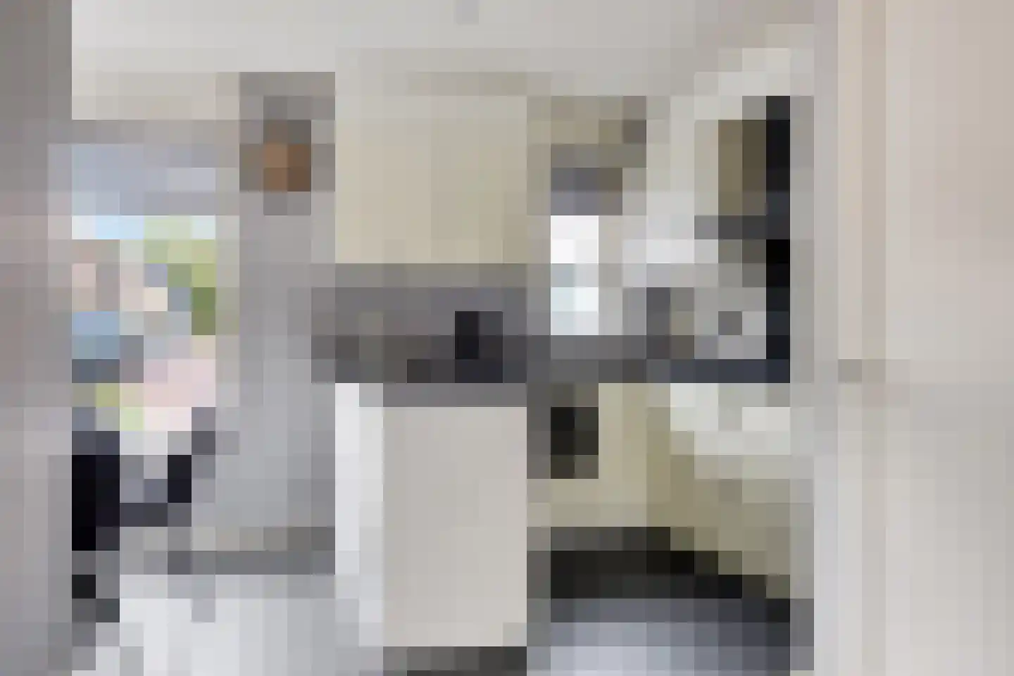Vetwei 12 Velp thumbnail 14