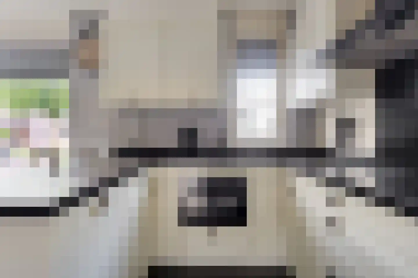 Vetwei 12 Velp thumbnail 15