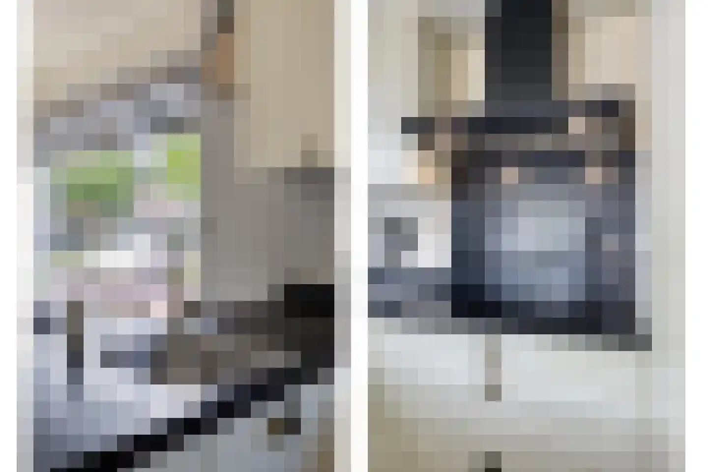 Vetwei 12 Velp thumbnail 16