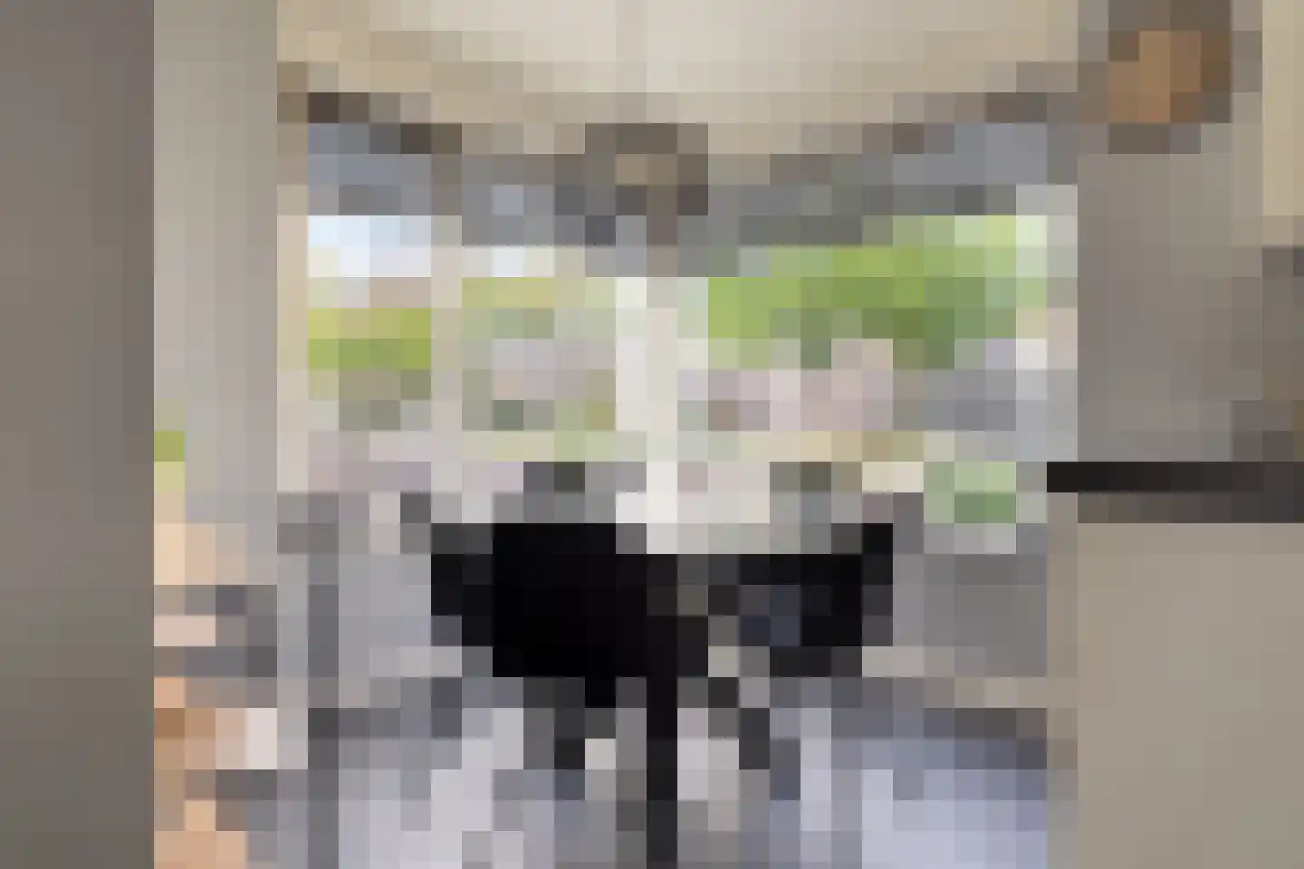 Vetwei 12 Velp thumbnail 17