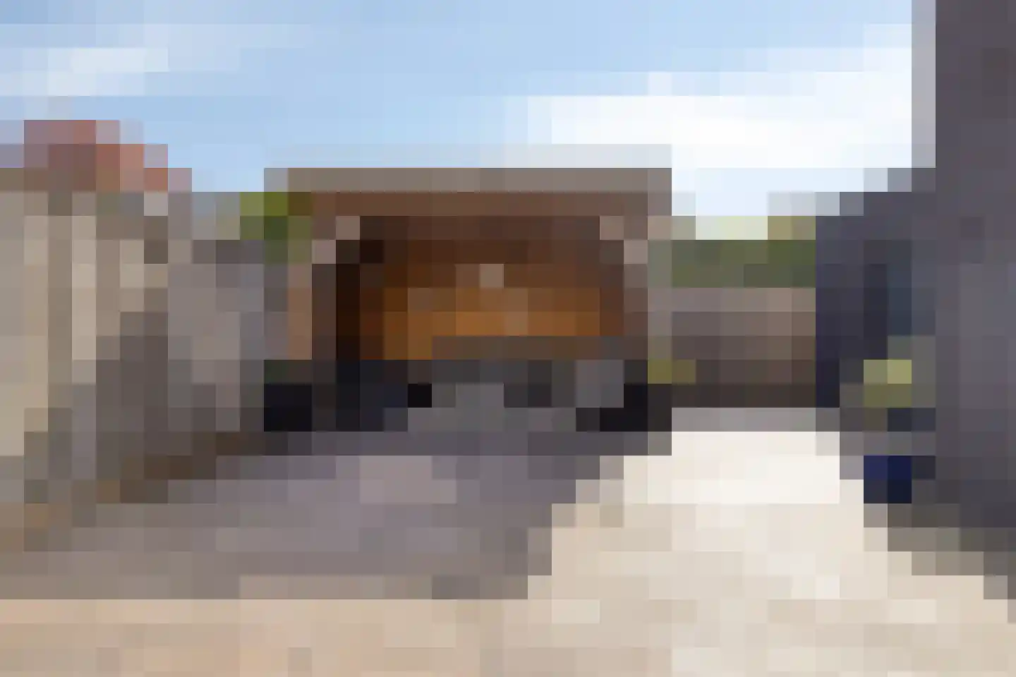 Vetwei 12 Velp thumbnail 29