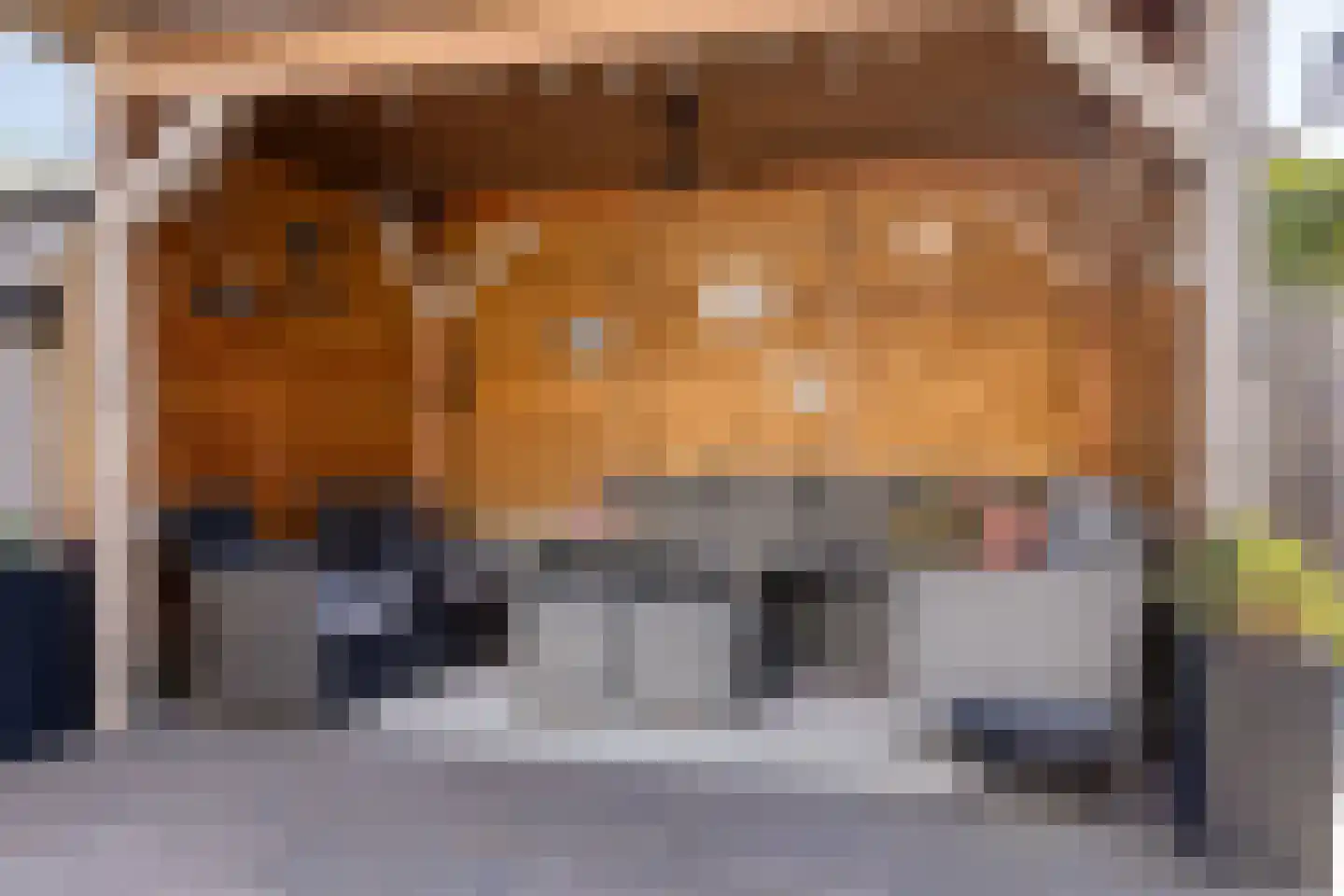 Vetwei 12 Velp thumbnail 30
