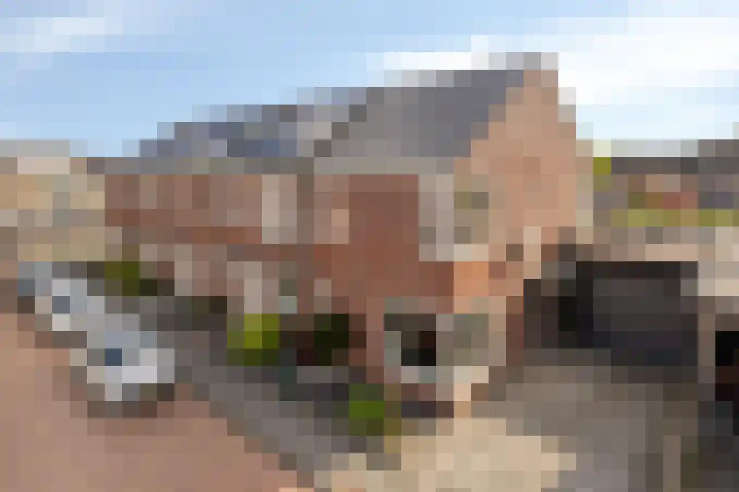 Vetwei 12 Velp thumbnail 6