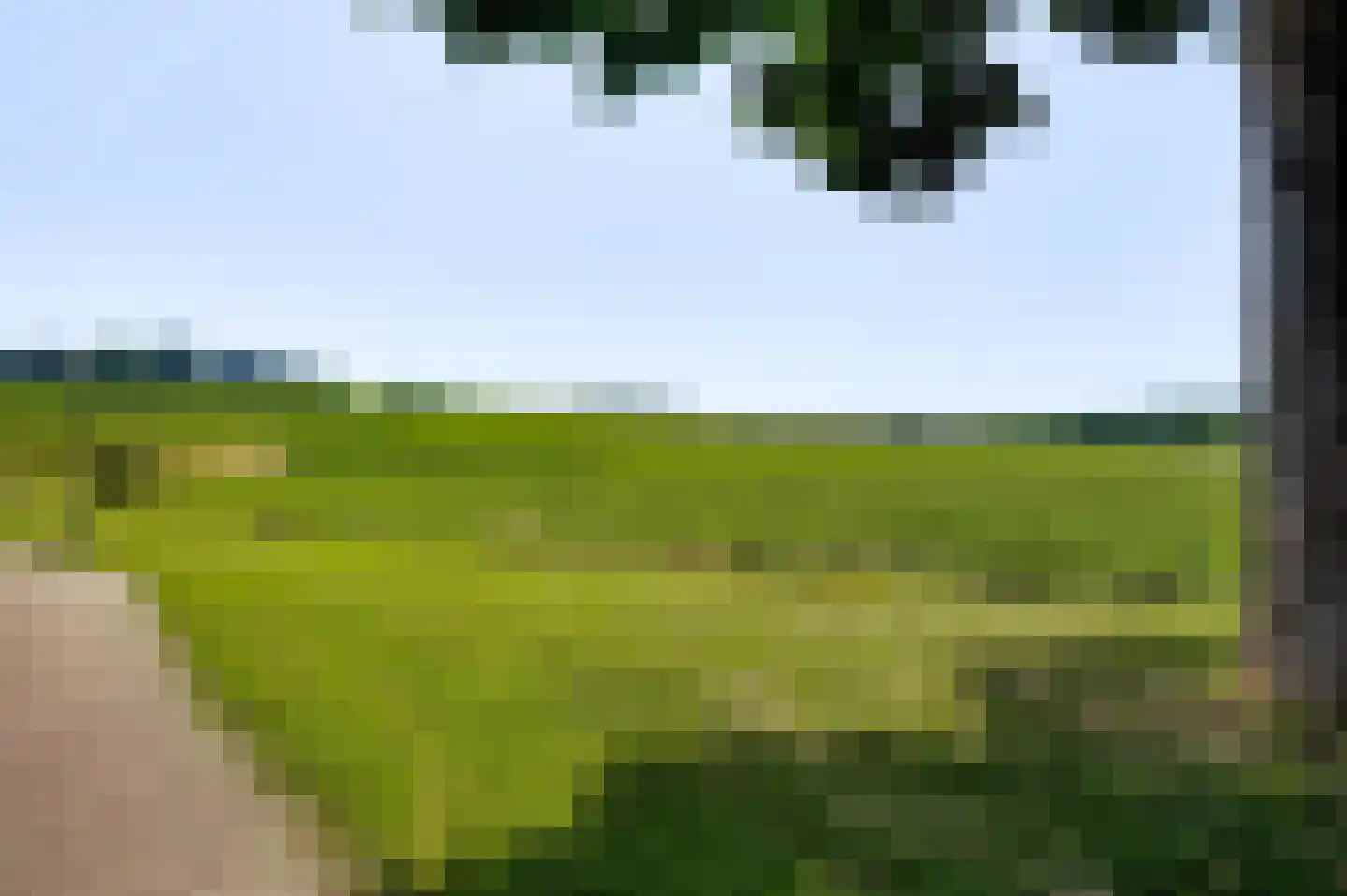 Veulenerbank 46 Maastricht thumbnail 23