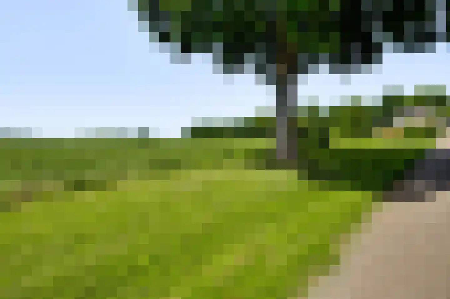 Veulenerbank 46 Maastricht thumbnail 25