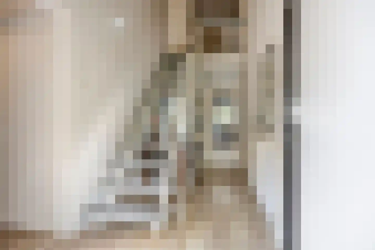 Veulenerbank 5 Maastricht thumbnail 10
