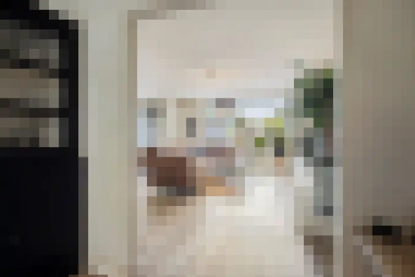 Veulenerbank 5 Maastricht thumbnail 20