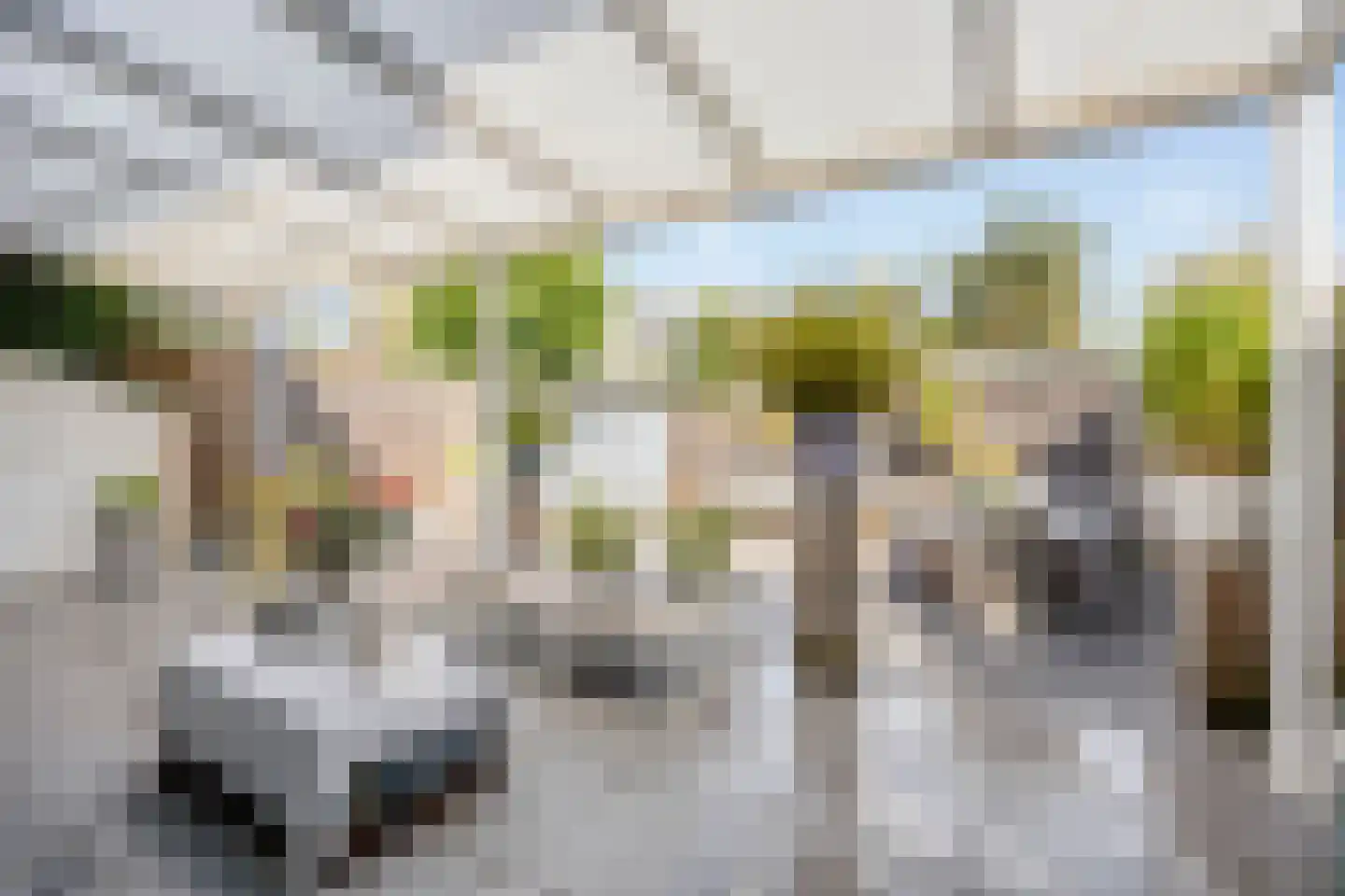 Veulenerbank 5 Maastricht thumbnail 22