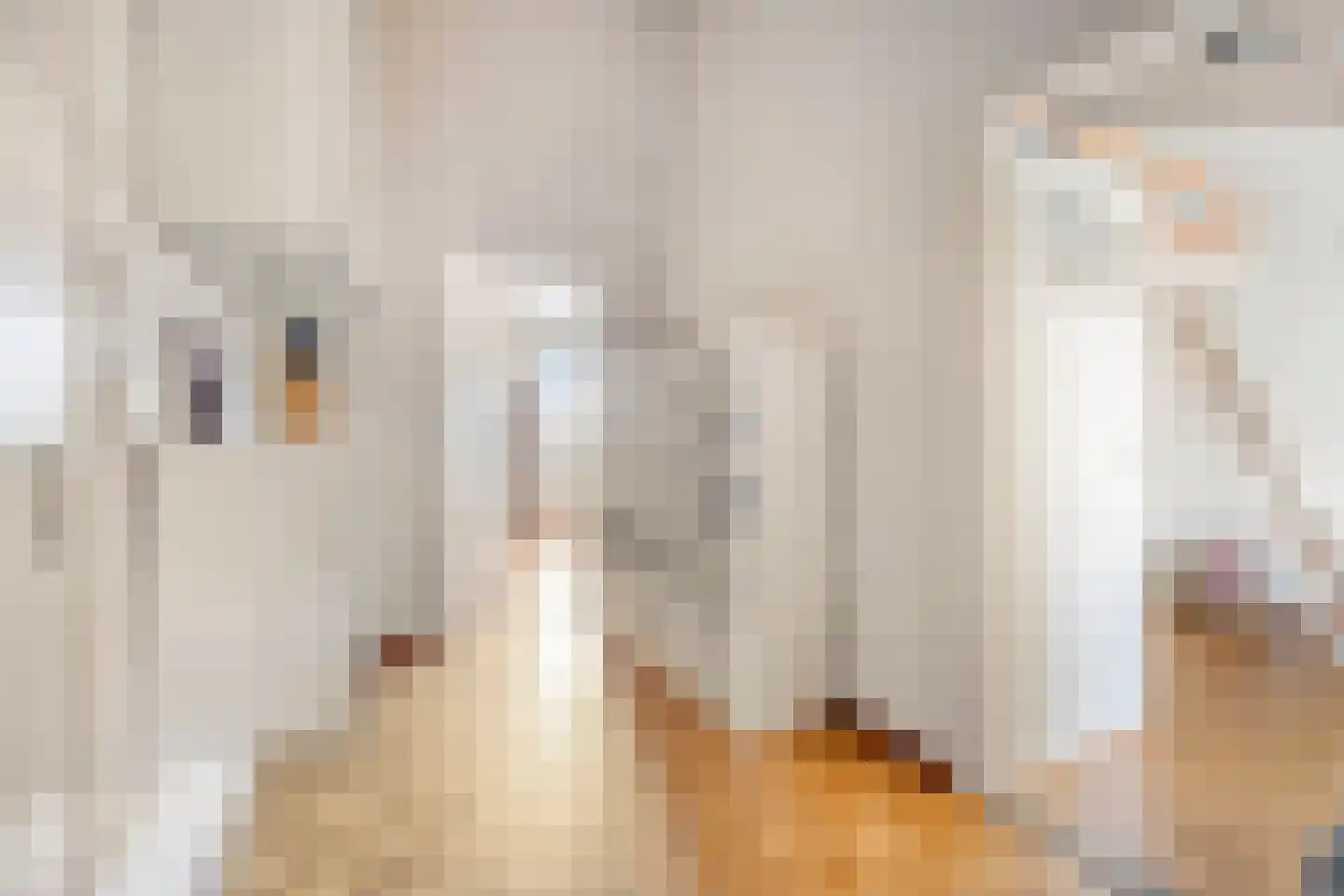 Veulenerbank 5 Maastricht thumbnail 26