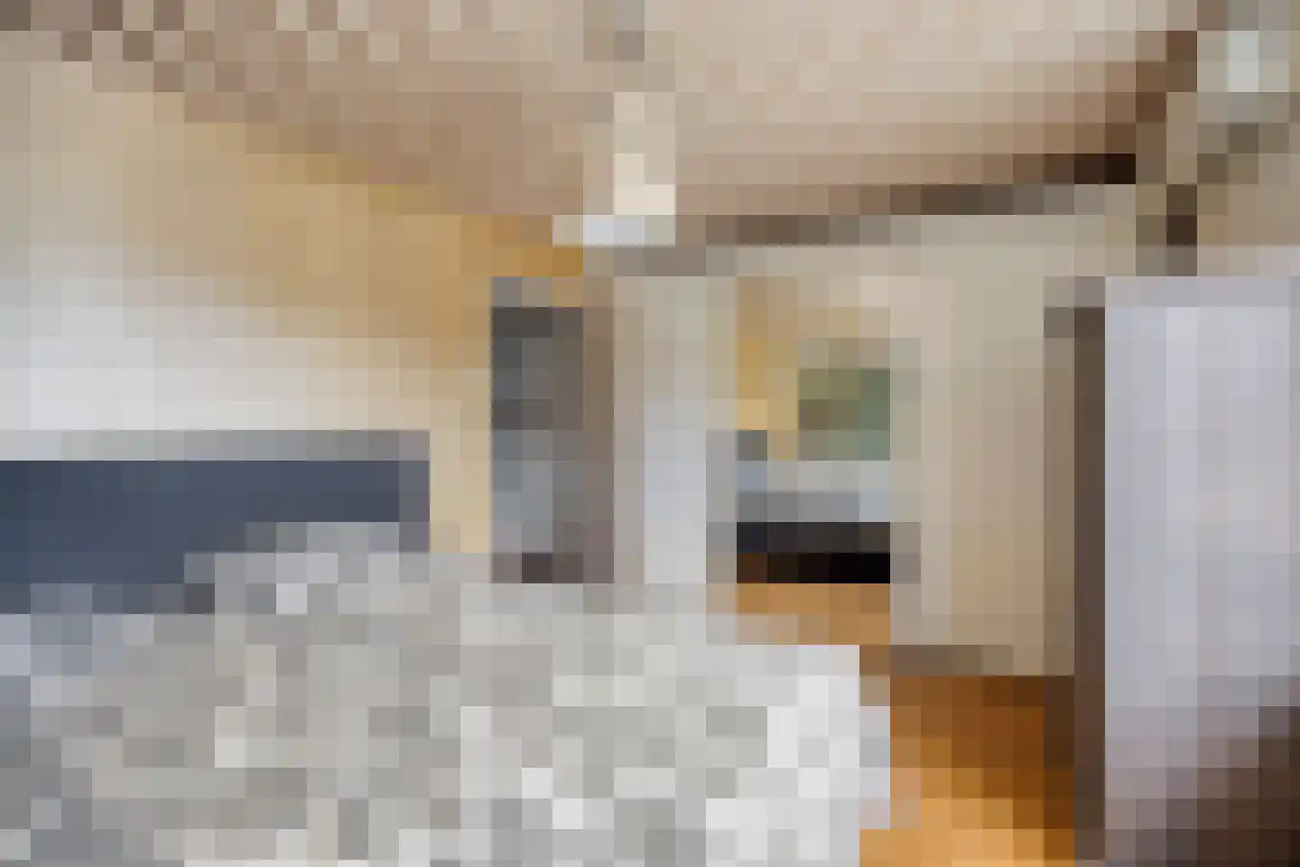 Veulenerbank 5 Maastricht thumbnail 31