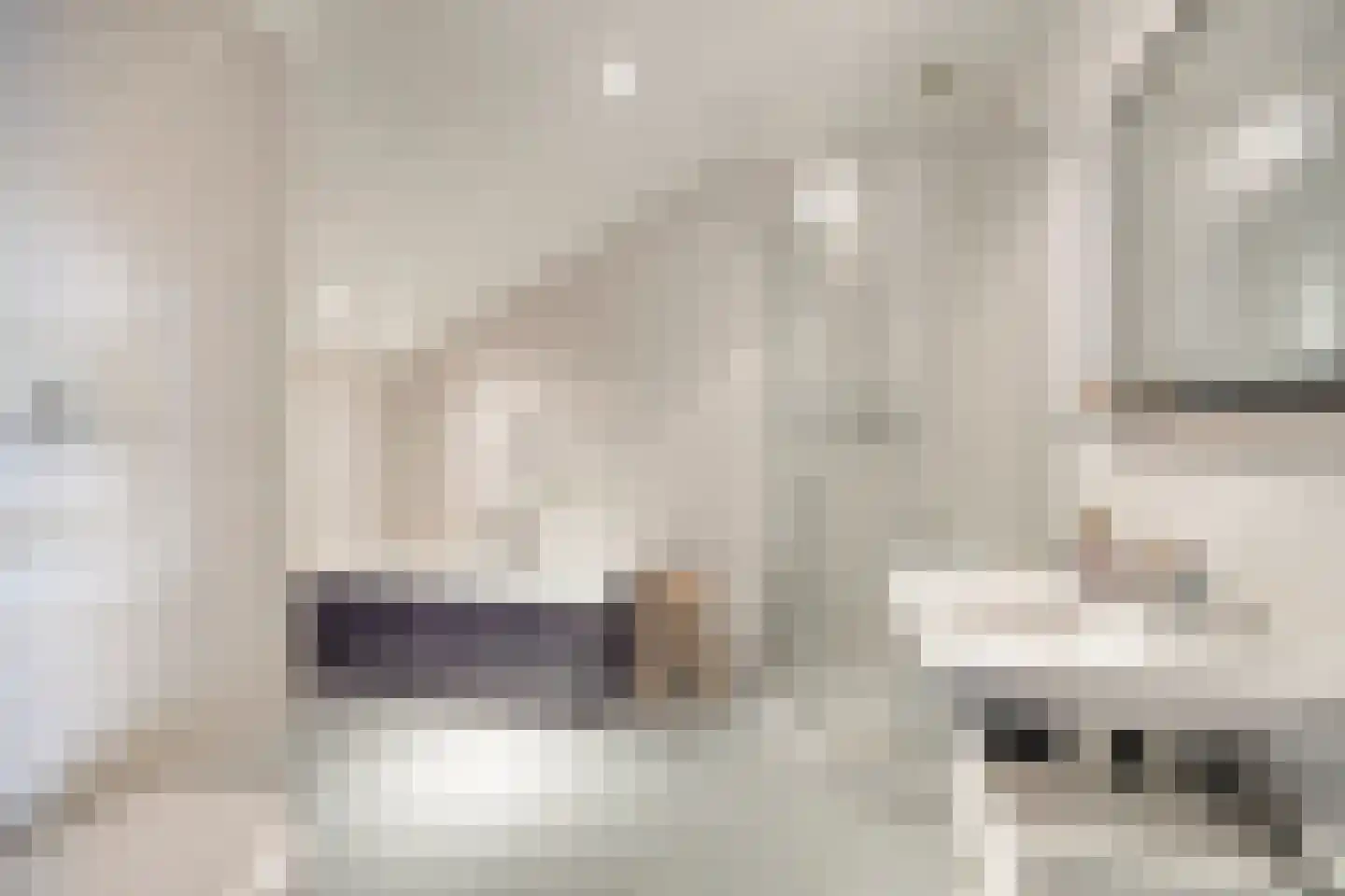 Veulenerbank 5 Maastricht thumbnail 33