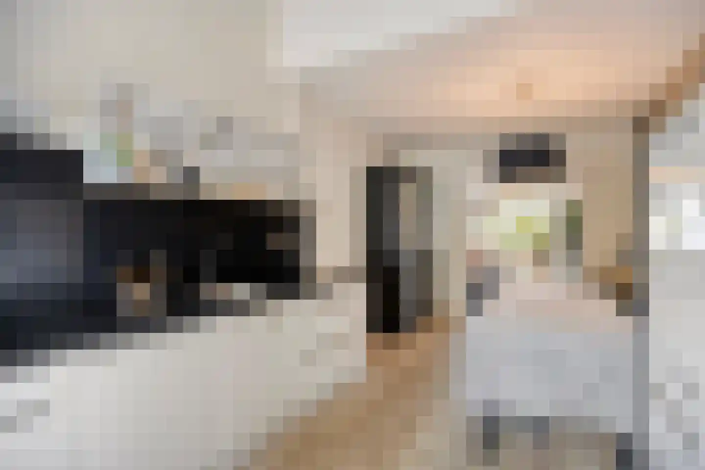 Veulenerbank 5 Maastricht thumbnail 4