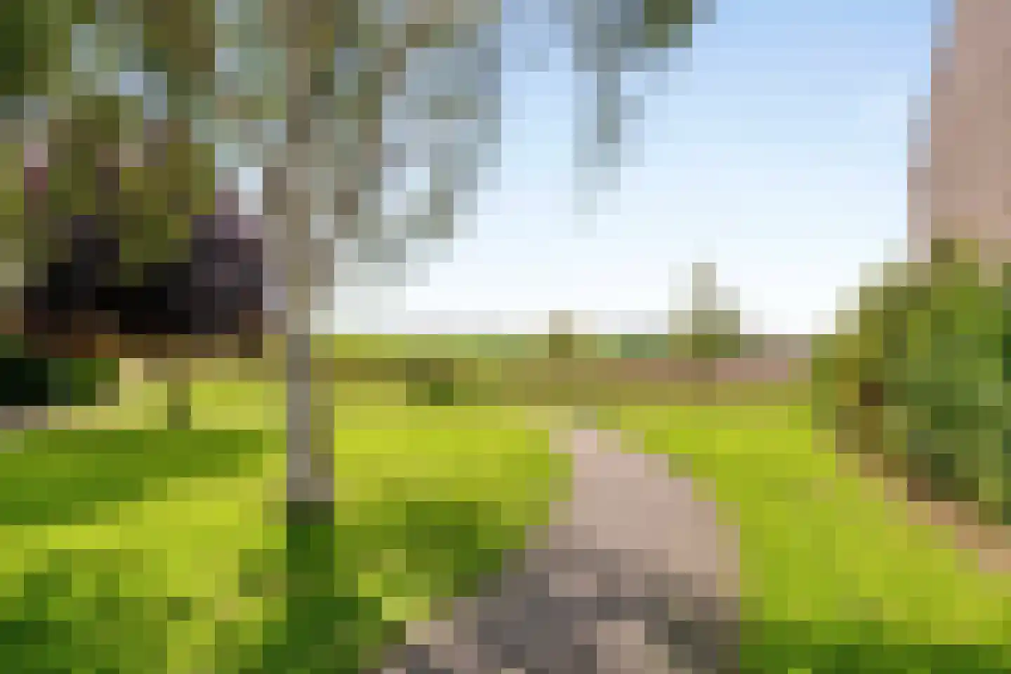 Veulenerbank 5 Maastricht thumbnail 6