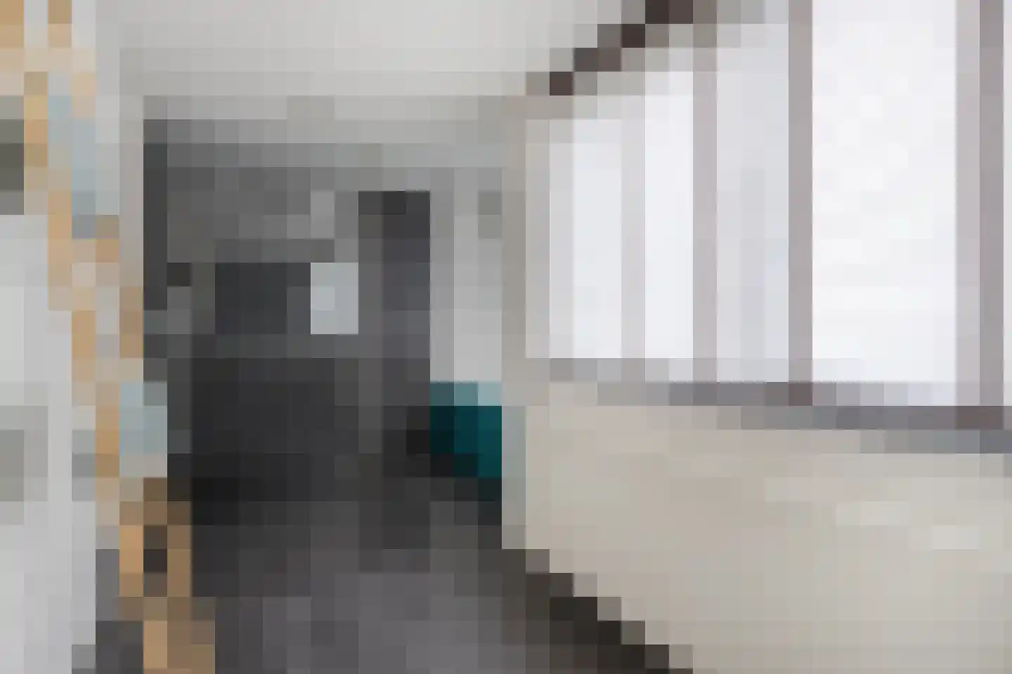 Veulenerbank 66 Maastricht thumbnail 21