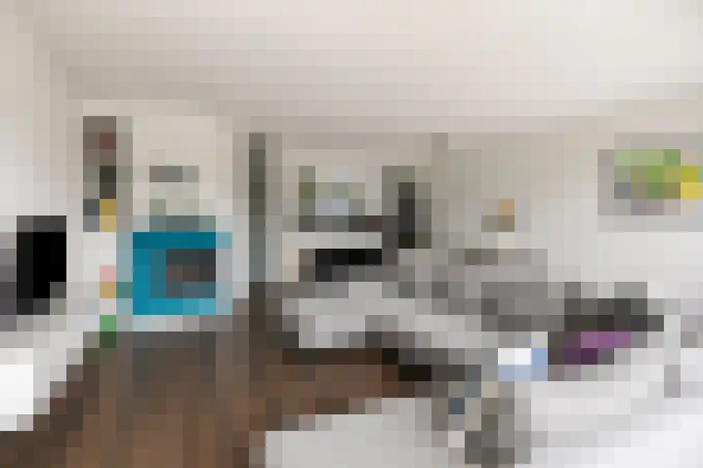 Veulenerbank 66 Maastricht thumbnail 6