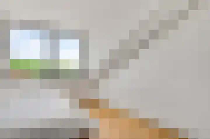 Veulenerbank 68 Maastricht thumbnail 15