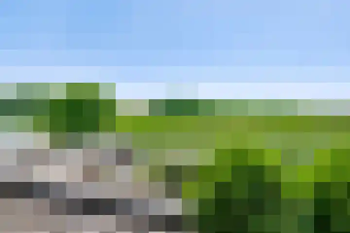 Veulenerbank 68 Maastricht thumbnail 4