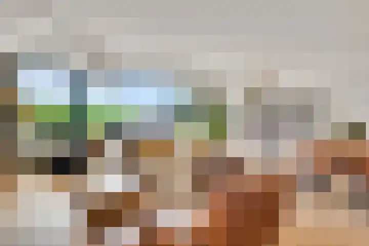 Veulenerbank 68 Maastricht thumbnail 5