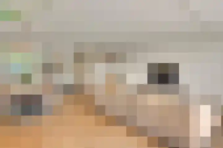 Veulenerbank 68 Maastricht thumbnail 6
