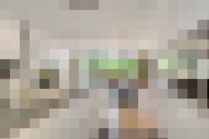 Veulenerbank 68 Maastricht thumbnail 7