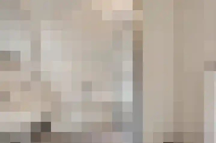 Veulenerbank 76 Maastricht thumbnail 13