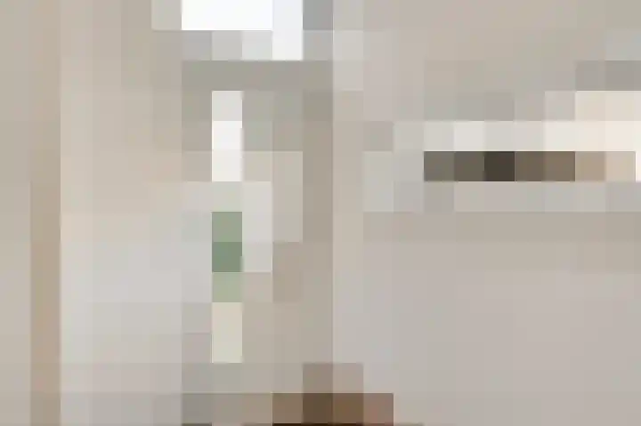 Veulenerbank 76 Maastricht thumbnail 5