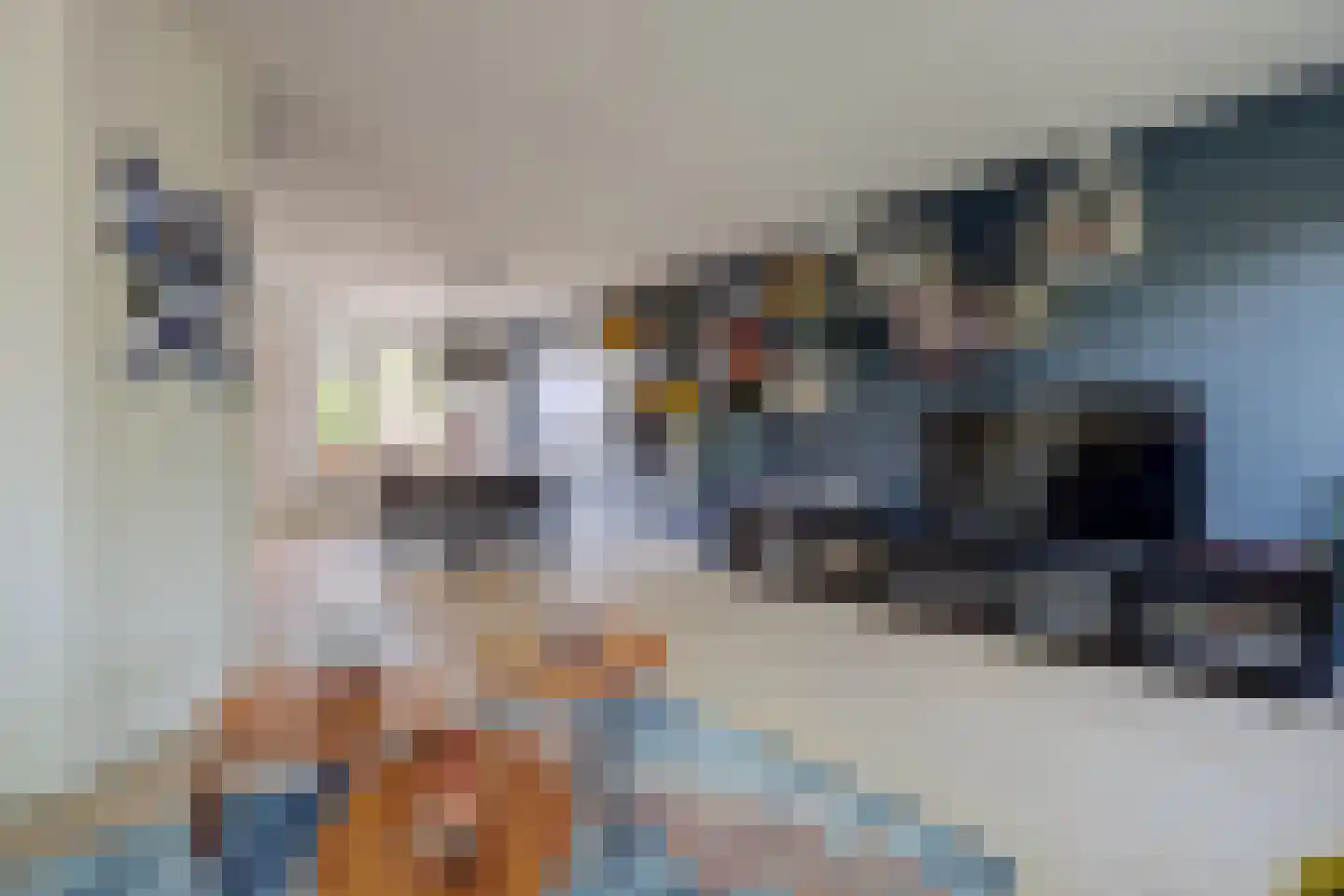 Veulenskampje 9 Millingen aan de Rijn thumbnail 10