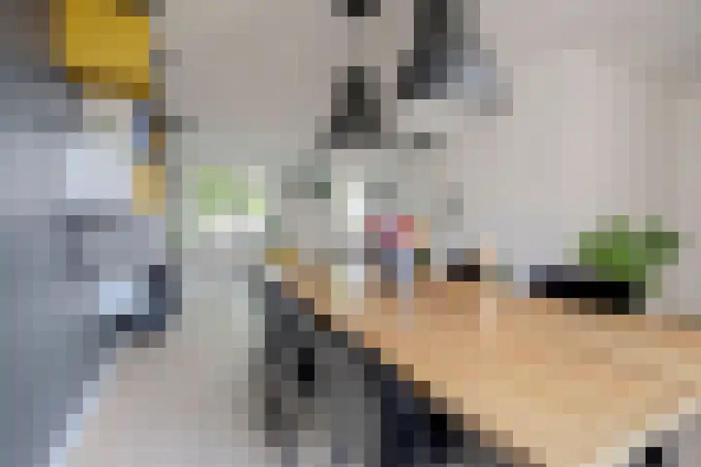 Veulenskampje 9 Millingen aan de Rijn thumbnail 14