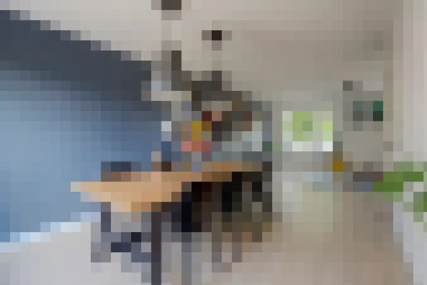 Veulenskampje 9 Millingen aan de Rijn thumbnail 15