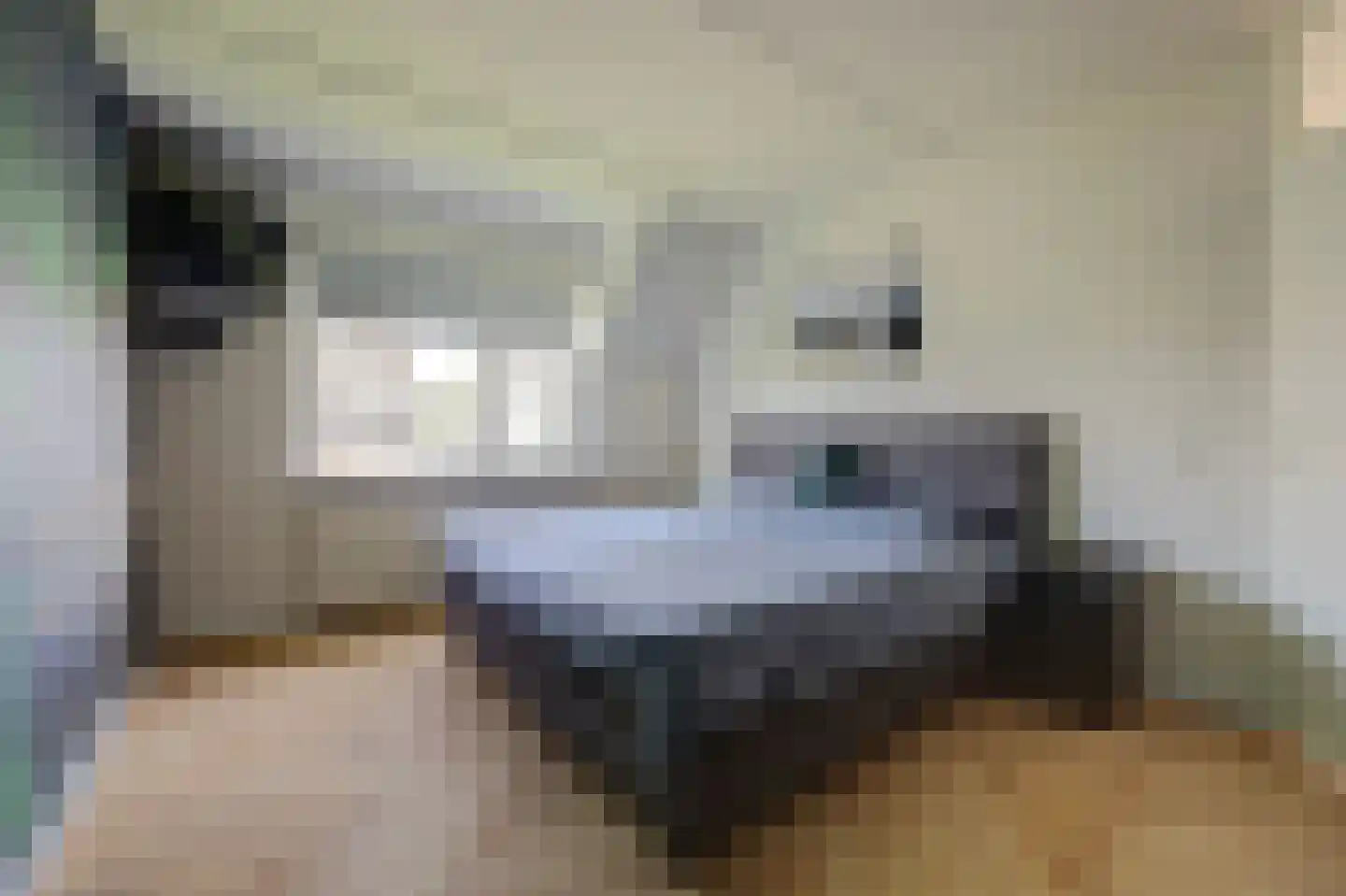 Veulenskampje 9 Millingen aan de Rijn thumbnail 23