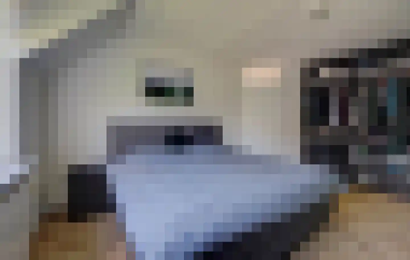 Veulenskampje 9 Millingen aan de Rijn thumbnail 25